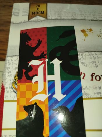 Serviette de bain Harry Potter