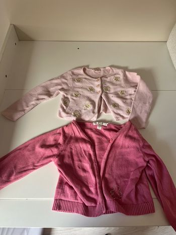 gilet