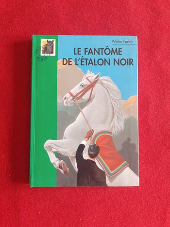 Fantôme de l'étalon noir tome 322 " Bibliothèque verte "
