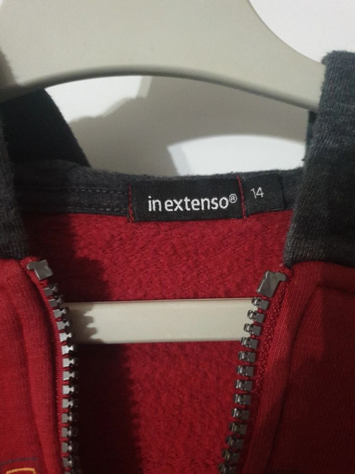 Veste à capuche in extenso 14 ans - photo numéro 3