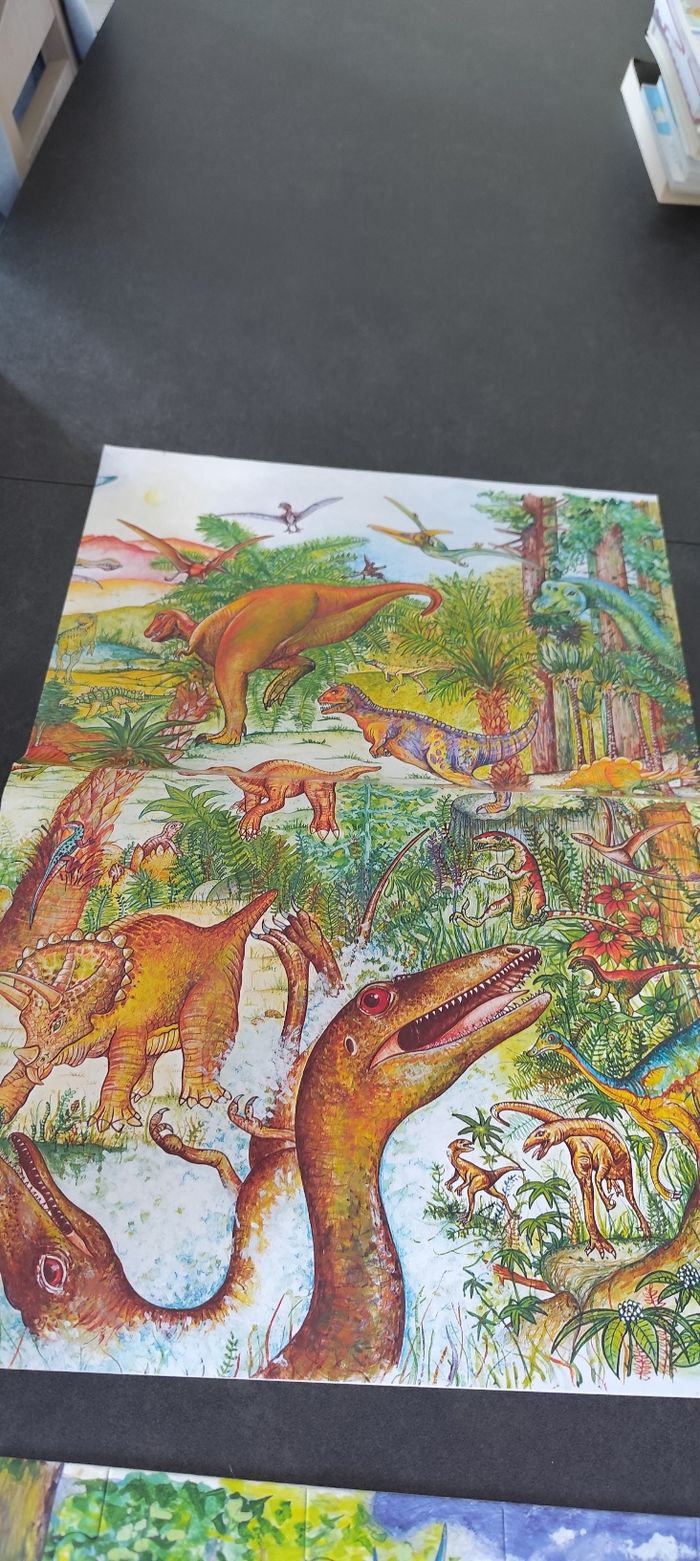 Puzzle d'observation Dinosaures - photo numéro 5