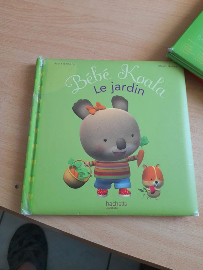 Bébé Koala - photo numéro 13