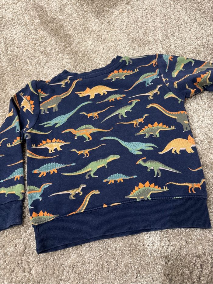 Sweat dinosaures - photo numéro 2