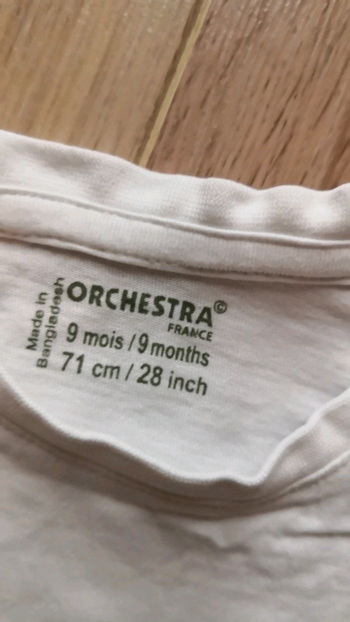 Lot de 2 t-shirts - photo numéro 2