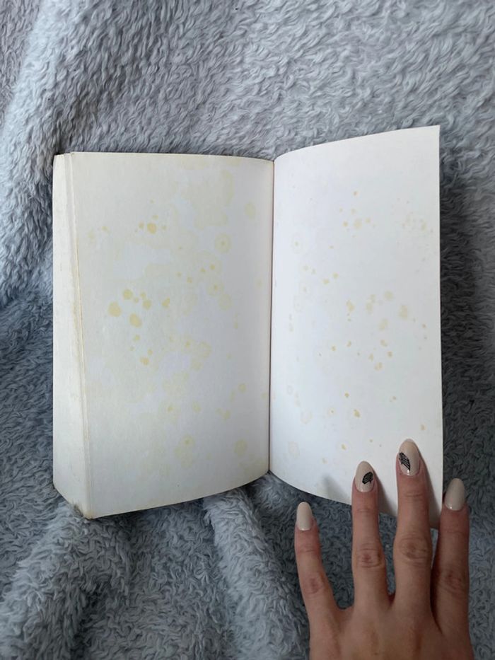 Did l mention i love you - photo numéro 5