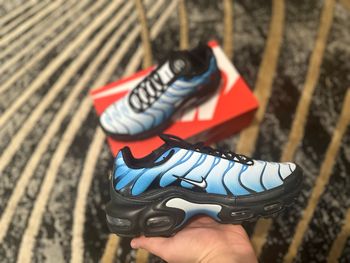Nike air max plus 