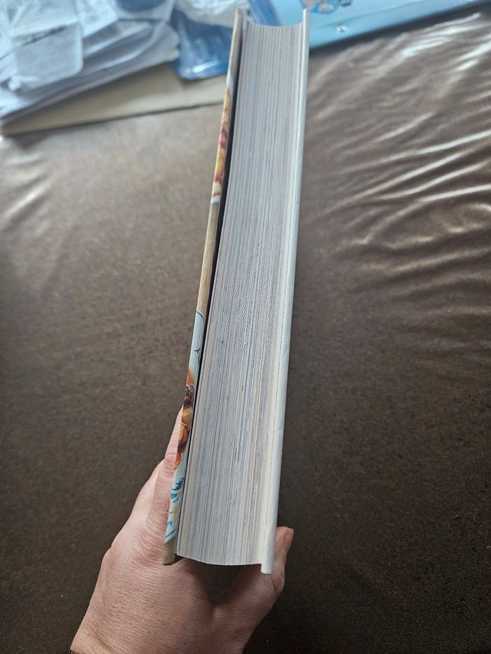 Livre - photo numéro 3