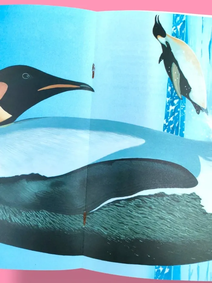 Album des Bisounours + BD Les Bisounours : Une petite sœur pour Grégoire ! 📖 - photo numéro 9