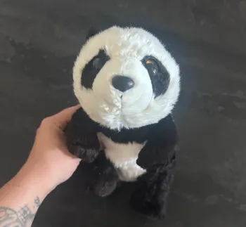 Panda du zoo de beauval