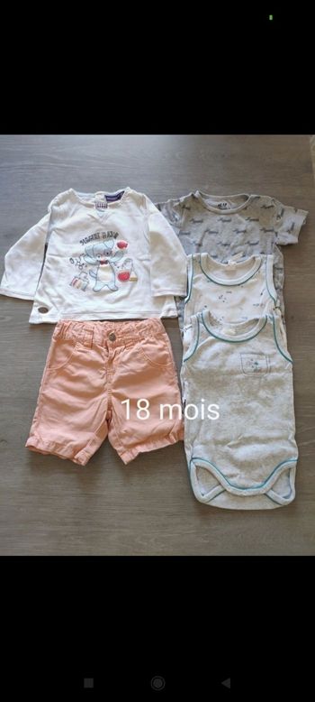 Lot 18 mois