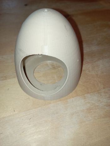 Décoration 3d  terrarium