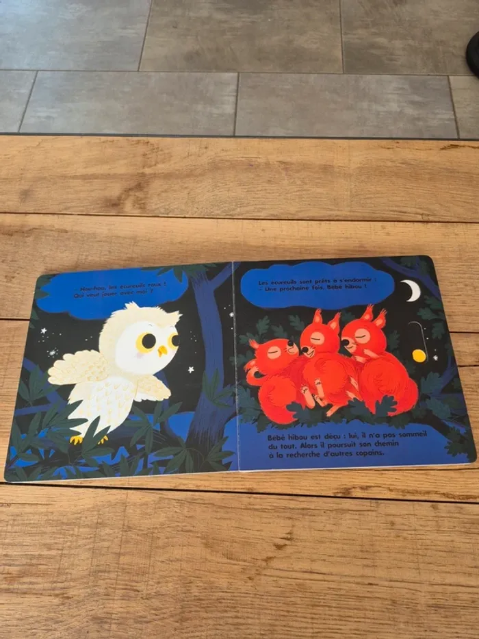 Livre “Au dodo bébé hibou n’a pas sommeil du tout”  Nathan - photo numéro 4
