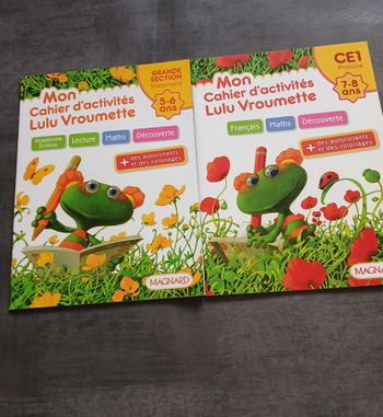 lot de deux cahiers livres d'activites grande section maternelle et CE1 lulu vroumette