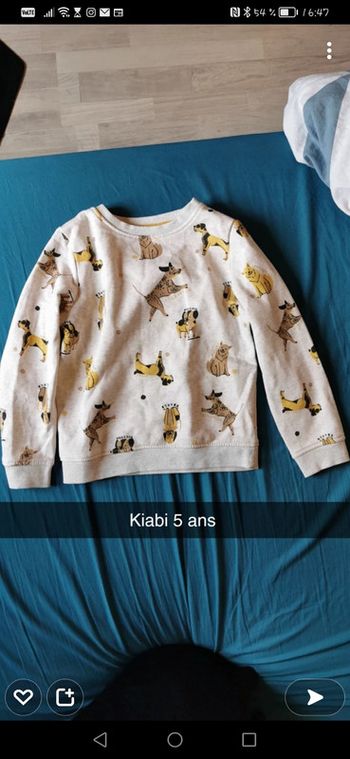 Pull chien