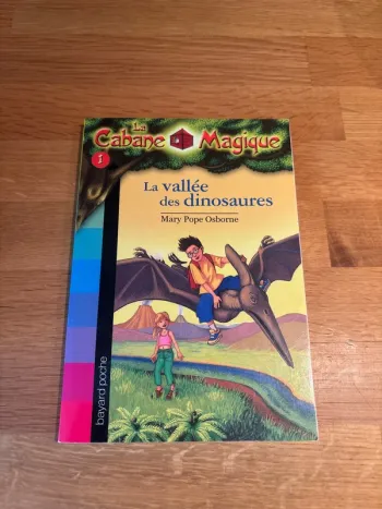 Roman enfant la cabane magique tome 1