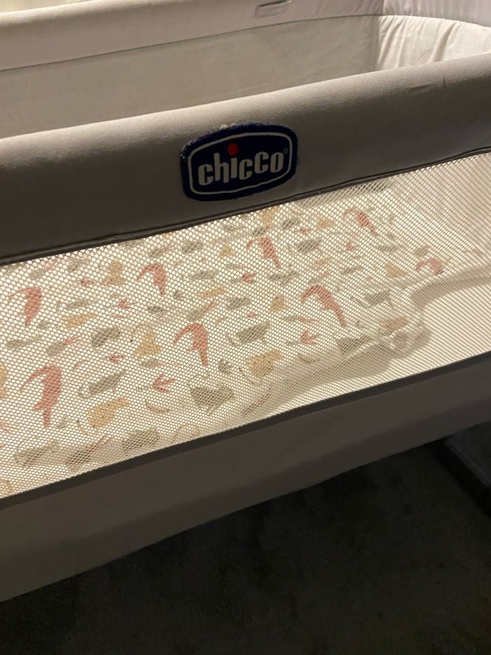 Cododo Next to me - photo numéro 2