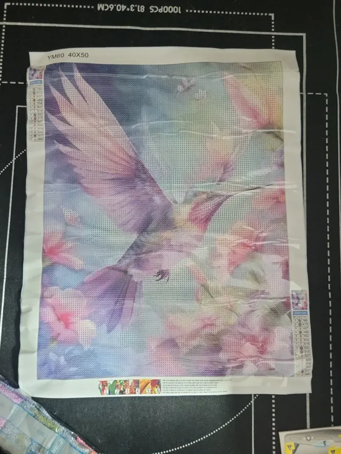 Daimond painting oiseau