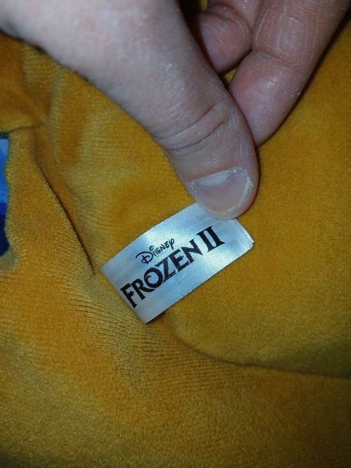 Coussin Anna Frozen II - Disney - photo numéro 2