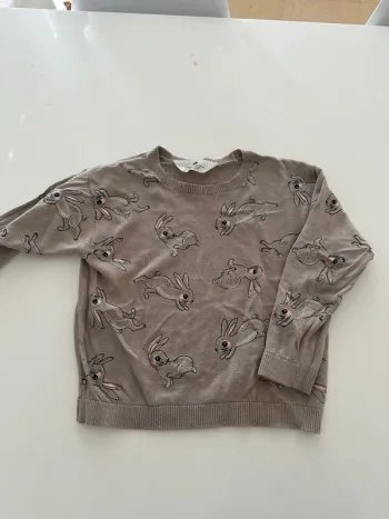 Pull lapin