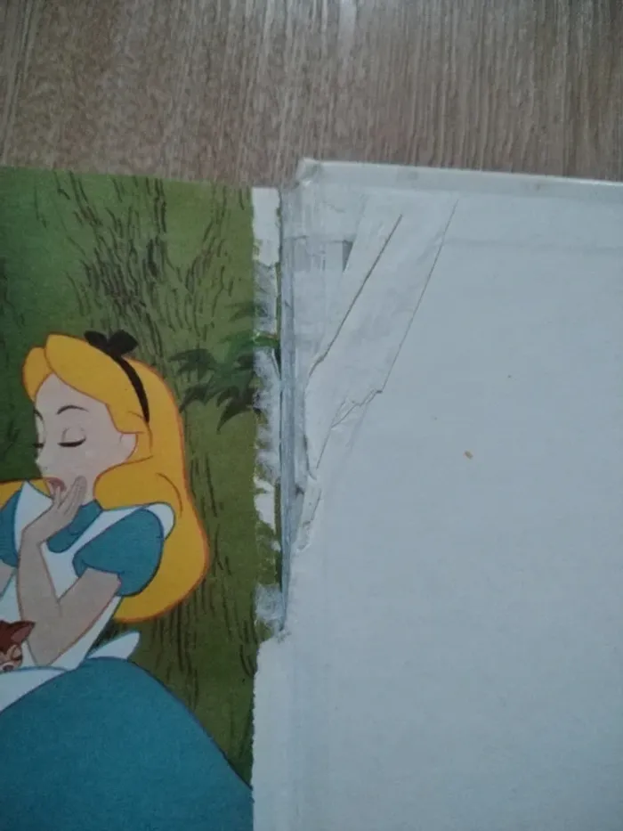 Lot gros livres Disney - photo numéro 3