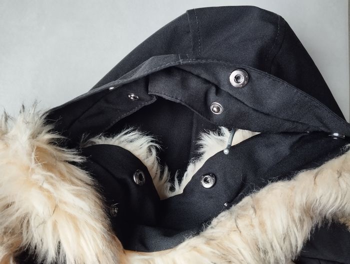 Manteau Paragoose - photo numéro 8
