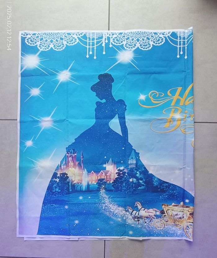Fond de toile anniversaire Cendrillon - photo numéro 3