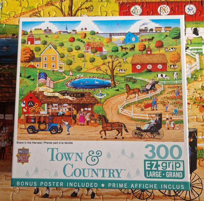 Puzzle 300 pièces XL.  Master pices. Dd1131