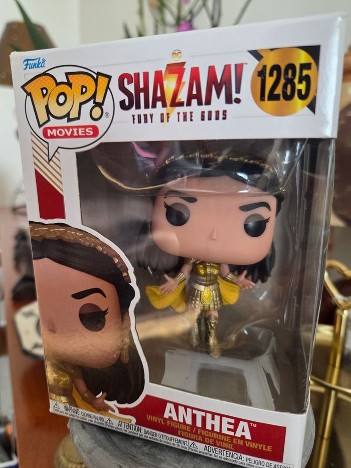 Pop Shazam Anthea - photo numéro 2
