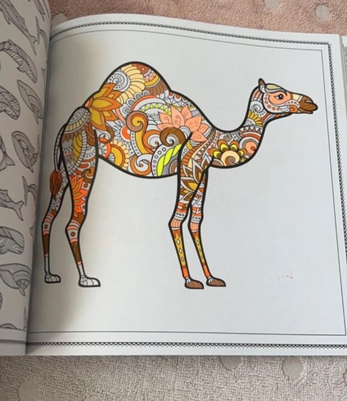 Livre coloriage - photo numéro 2