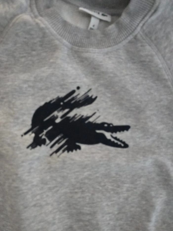 Sweat gris Lacoste - photo numéro 2