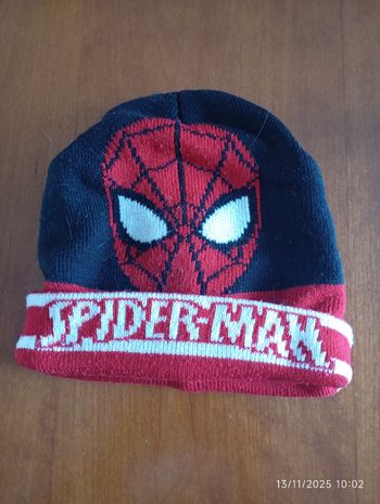 Bonnet Spiderman