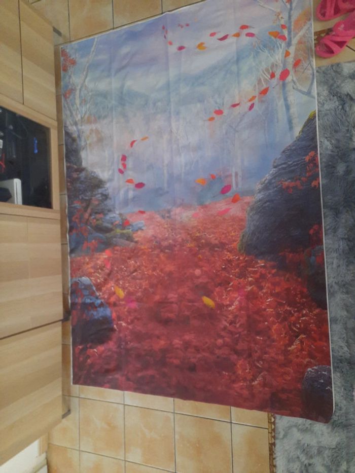 Toile de fond Reine des Neiges 2m50 × 1m50 environ - photo numéro 2