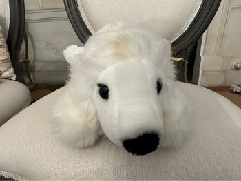 Ours polaire blanc peluche Steiff Arco 45cm collection doudou traditionnel pôle nord