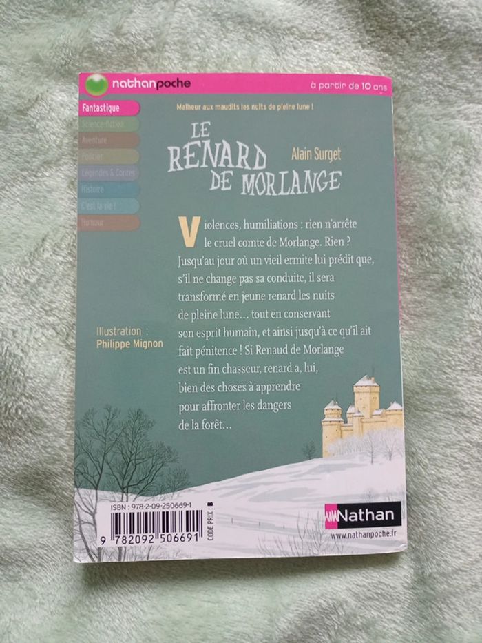 Livre de poche le roman de morlange - photo numéro 2