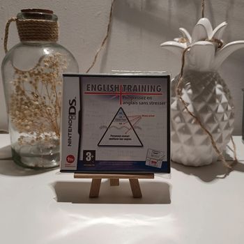 DS jeu english training