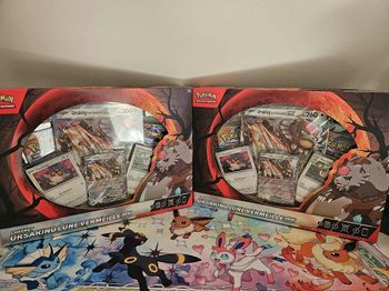 Lot de 2 Coffrets Pokémon Ursaking français