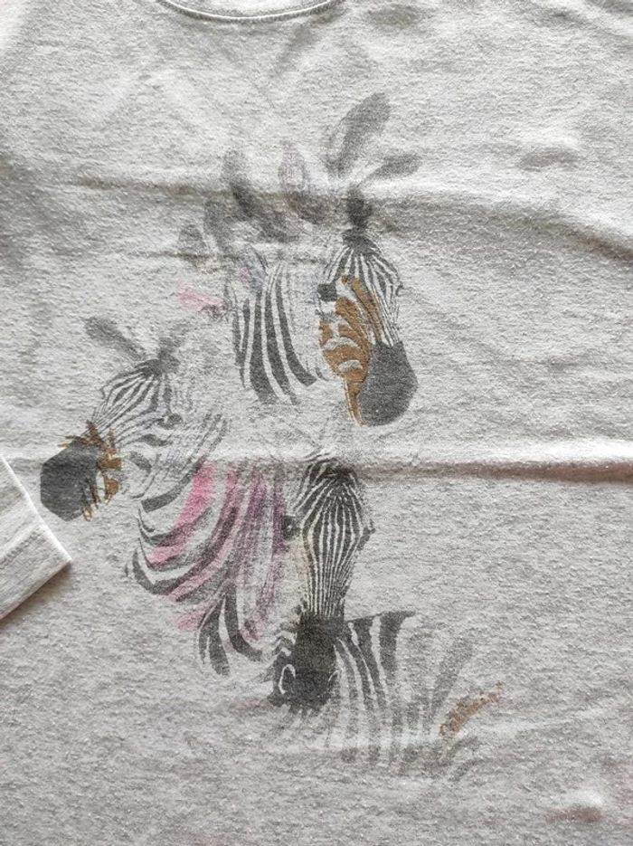 Tee-shirt catimini zèbre 10 ans - photo numéro 2