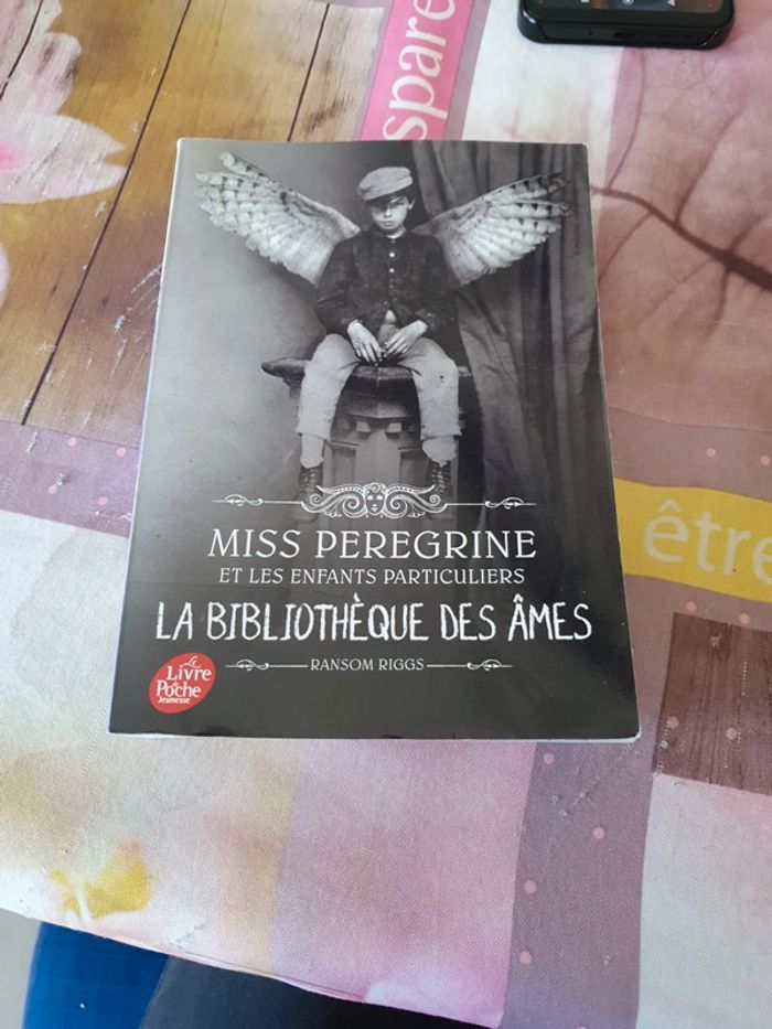 Livre miss pérégrinations les enfants particuliers
