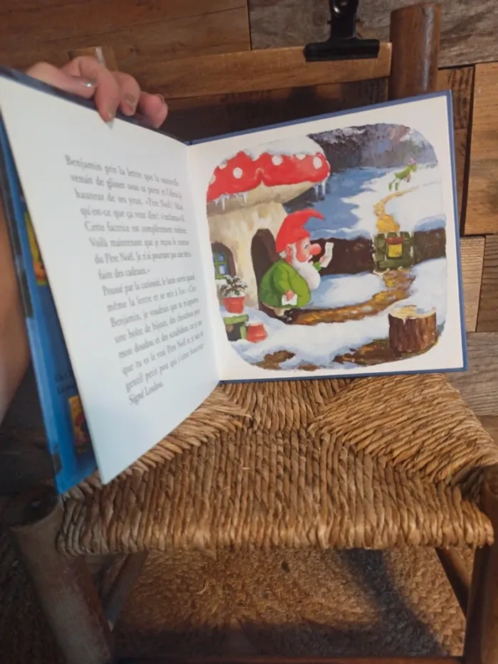 Livre Les drôles de petites bêtes Benjamin le père noël du jardin tbe - photo numéro 3
