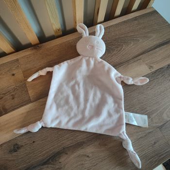 Lapin fleuri early days