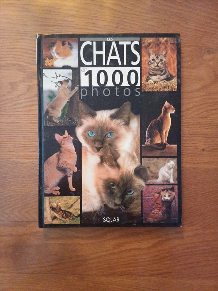 Atlas nature Les chats - photo numéro 4