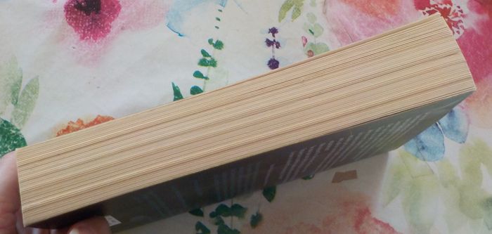 LA VEUVE de Fiona BARTON Ed. de Noyelles - photo numéro 5