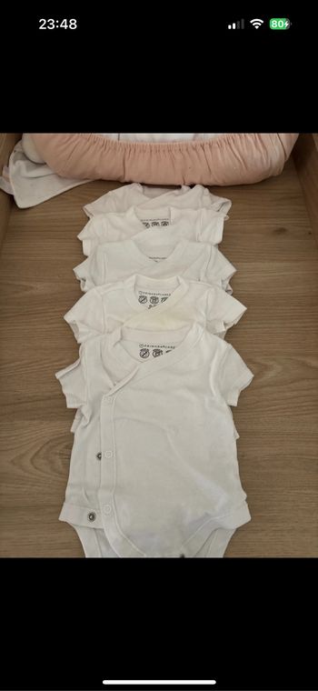Lot 5 bodies