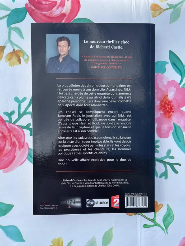 Mise à nu – Richard Castle - photo numéro 2