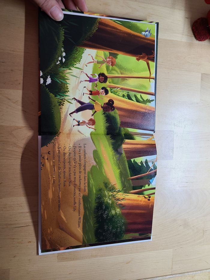 Cache cache dans les Vosges - photo numéro 5