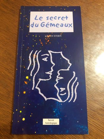 Le secret du gémeaux de Lilian Stern