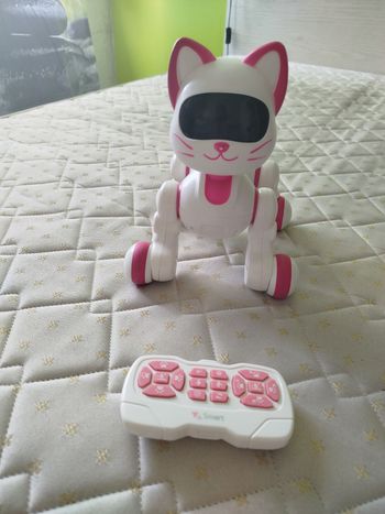 Chat robot télécommandée 