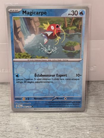 Carte pokemon Magicarpe