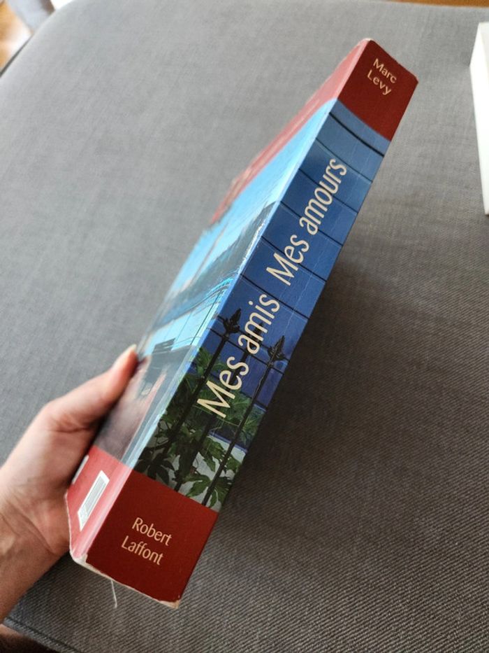 En lot ou à l'unité : Livre Mes amis Mes amours - Marc Levy - photo numéro 3