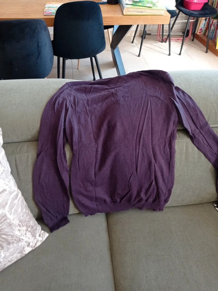 Pull fin bonobo - photo numéro 4